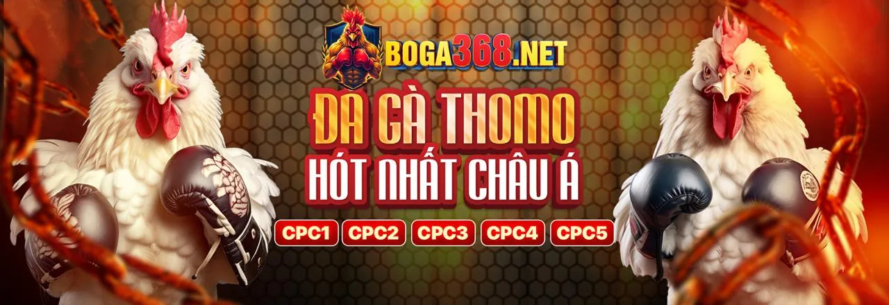 Hình ảnh đại diện phương thức thanh toán Zalv an toàn và nhanh chóng